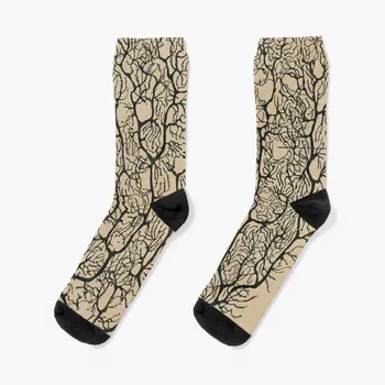 Носки с рисунком нейронов Кахаля, черные носки, Забавные носки, мужские регби